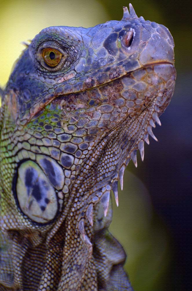 Photography by Sandi