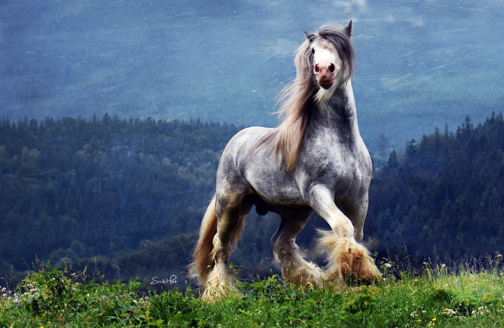 Photography by Sandi