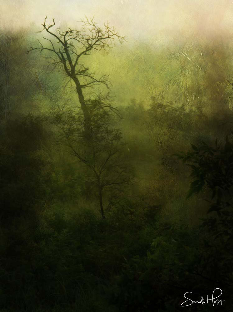 overview_sandi_holst_early